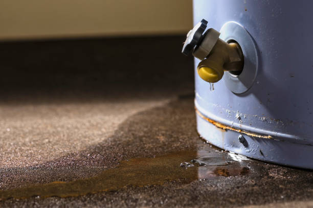 Best Professional water damage repair  in Newcastle, OK