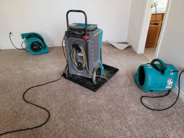 Best Flooded house restoration  in Newcastle, OK