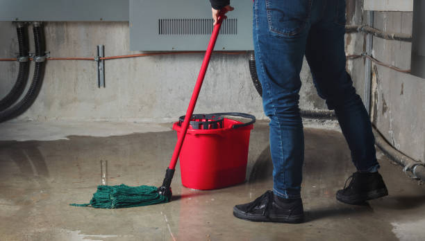 Best Fire Damage Restoration  in Newcastle, OK