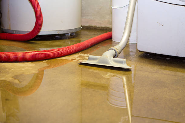 Best Water damage contractors near me  in Newcastle, OK