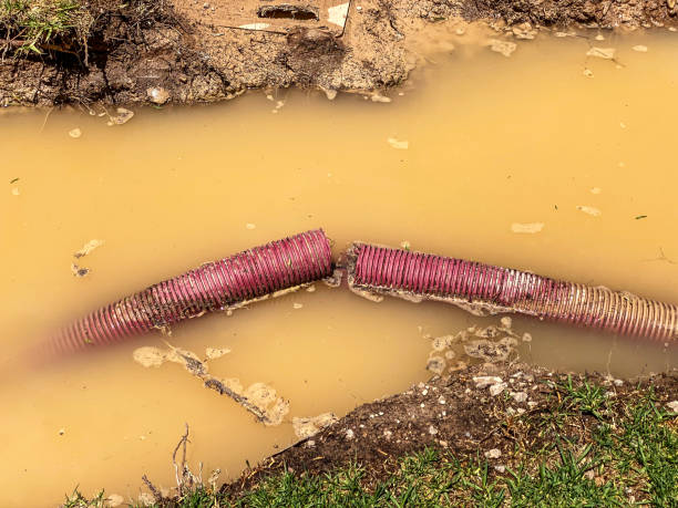 Water damage restoration mold remediation in Newcastle, OK