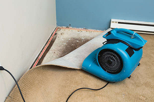 Best Water damage cleanup near me  in Newcastle, OK